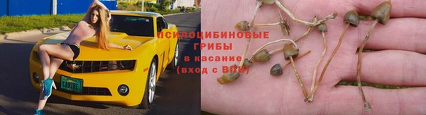 хмурый Балахна