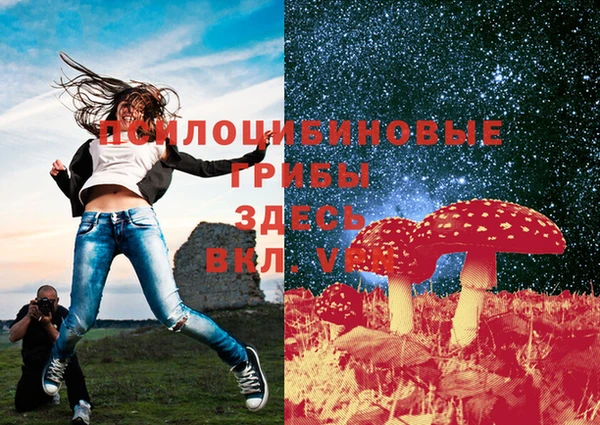 мдпв Семикаракорск