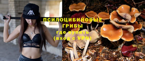 хмурый Балахна